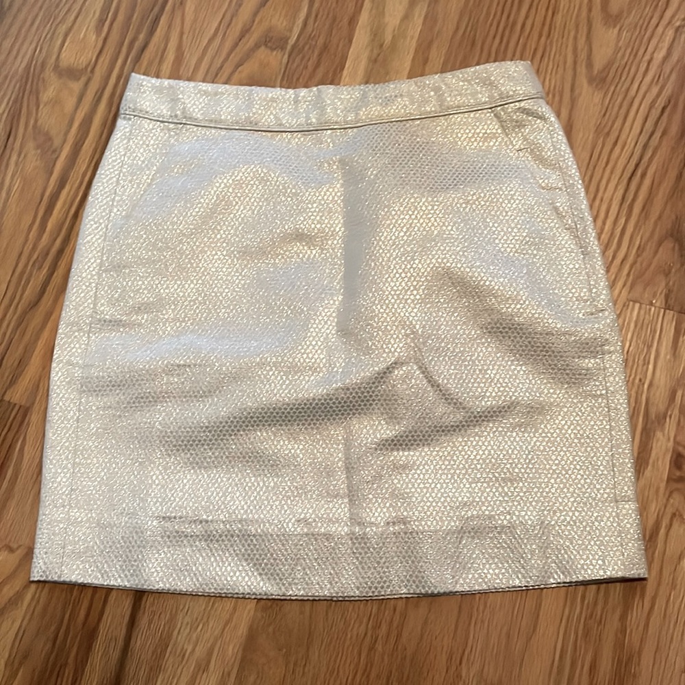 JCrew Mini Skirt